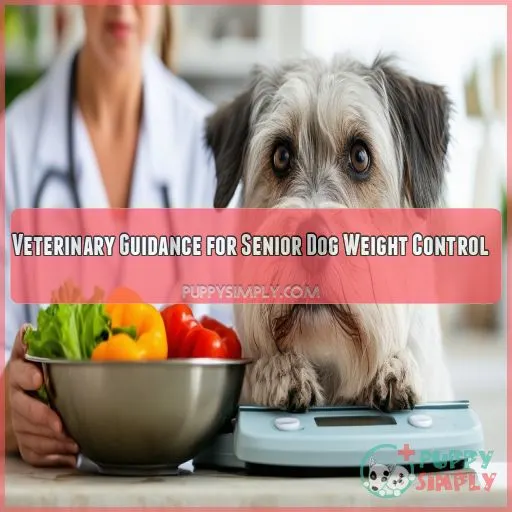 Veterinary Guidance for Senior Dog Weight Control