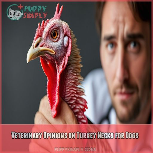 Veterinary Opinions on Turkey Necks for Dogs