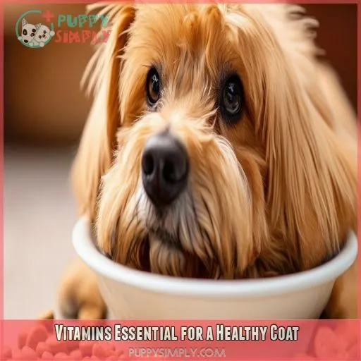 Vitamins Essential for a Healthy Coat