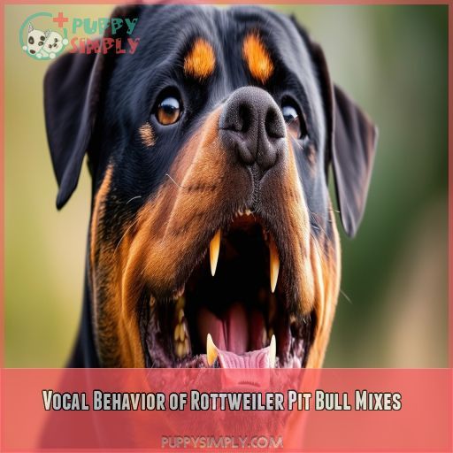 Vocal Behavior of Rottweiler Pit Bull Mixes