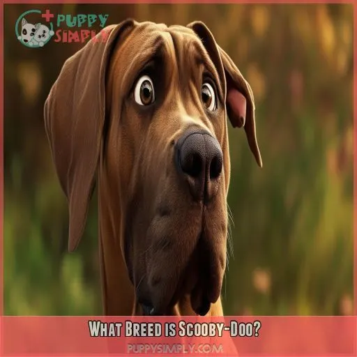 What Breed is Scooby-Doo