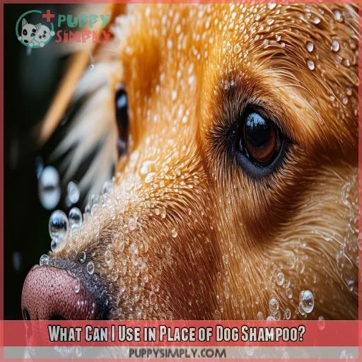 What Can I Use in Place of Dog Shampoo