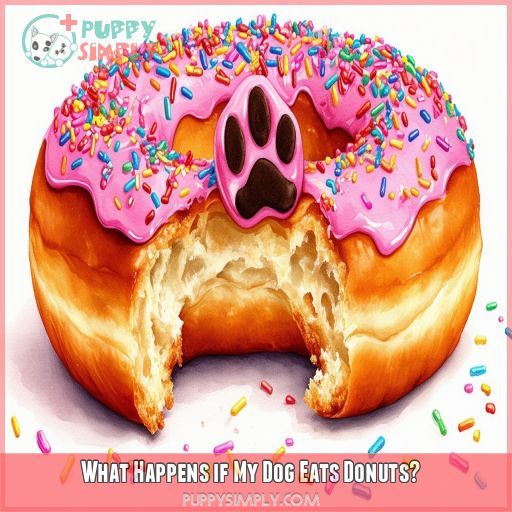 What Happens if My Dog Eats Donuts