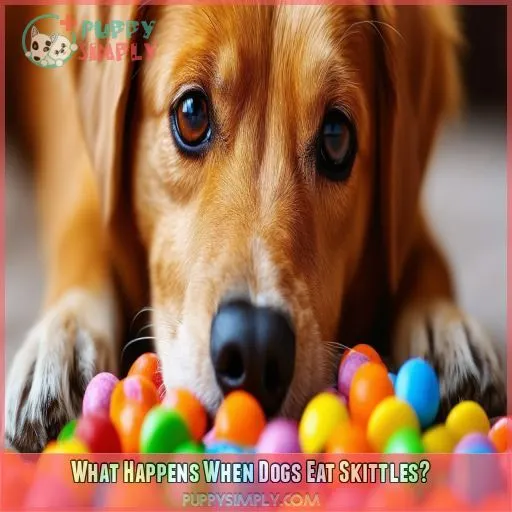 What Happens When Dogs Eat Skittles