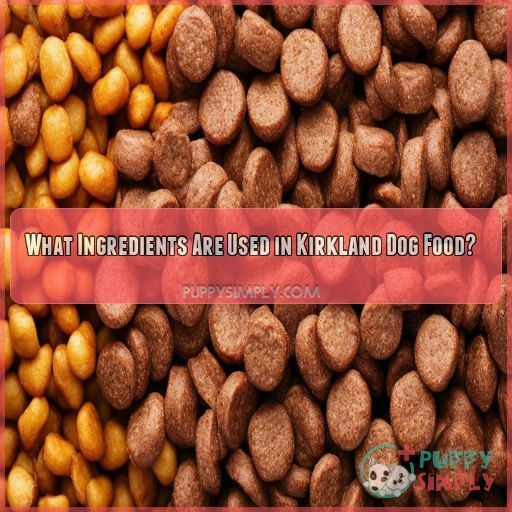 What Ingredients Are Used in Kirkland Dog Food