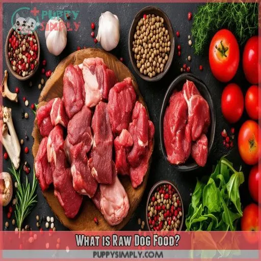 What is Raw Dog Food