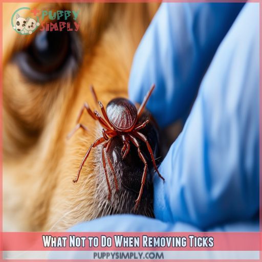 What Not to Do When Removing Ticks