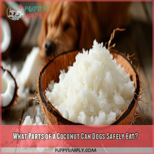 What Parts of a Coconut Can Dogs Safely Eat