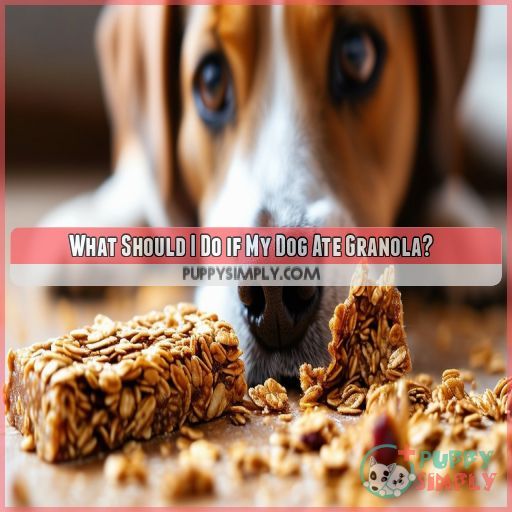 What Should I Do if My Dog Ate Granola