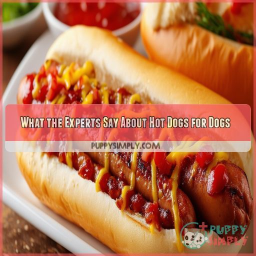 What the Experts Say About Hot Dogs for Dogs