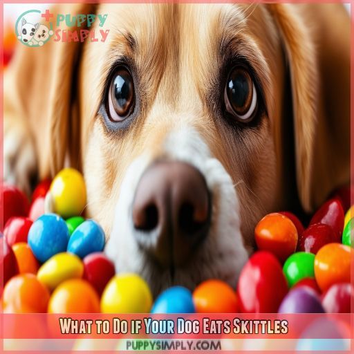 What to Do if Your Dog Eats Skittles