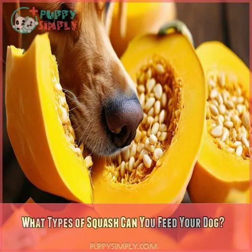 What Types of Squash Can You Feed Your Dog