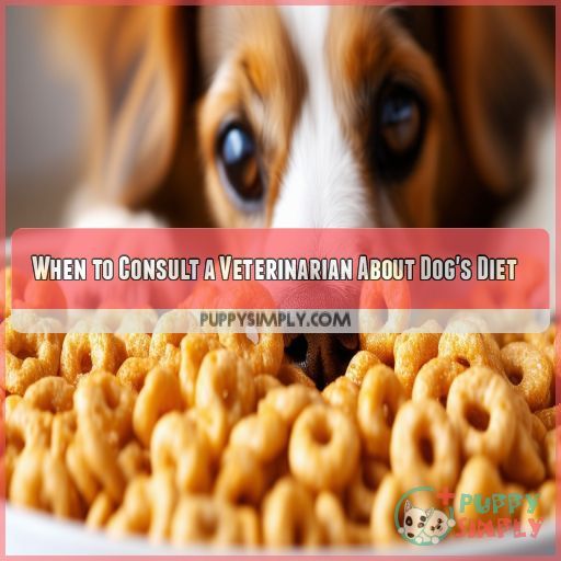 When to Consult a Veterinarian About Dog