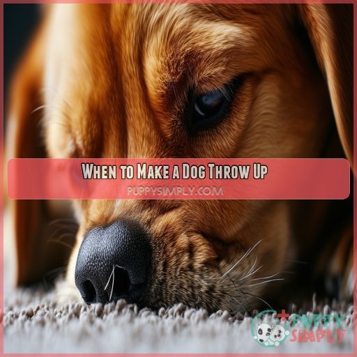 When to Make a Dog Throw Up