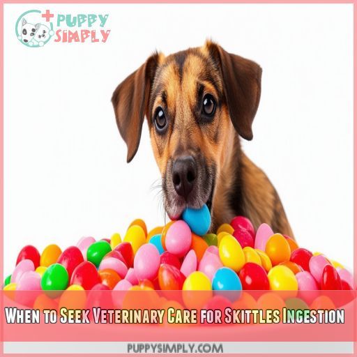 When to Seek Veterinary Care for Skittles Ingestion