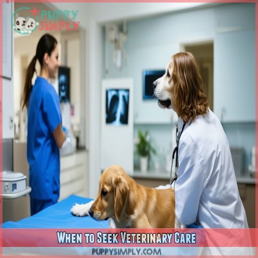 When to Seek Veterinary Care