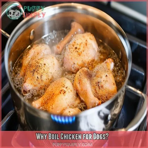 Why Boil Chicken for Dogs
