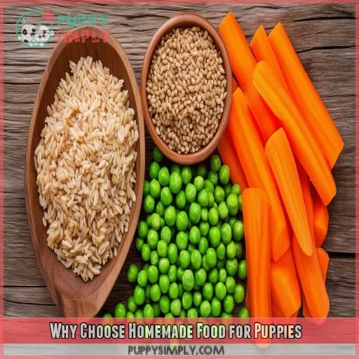 Why Choose Homemade Food for Puppies