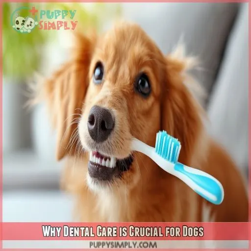 Why Dental Care is Crucial for Dogs