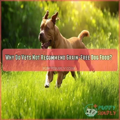 Why Do Vets Not Recommend Grain-Free Dog Food