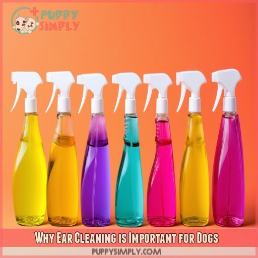 Why Ear Cleaning is Important for Dogs