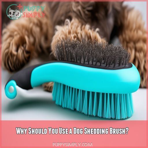 Why Should You Use a Dog Shedding Brush