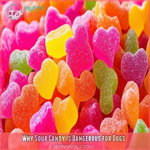 Why Sour Candy is Dangerous for Dogs