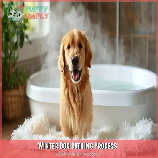 Winter Dog Bathing Process