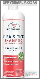 Wondercide - Flea & Tick