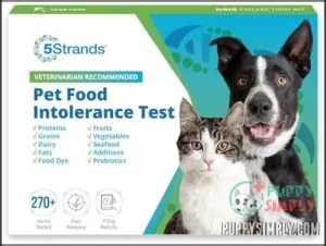 5Strands Pet Food Intolerance Test,