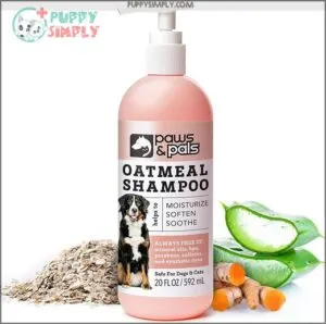 6-in-1 Dog Shampoo and Conditioner