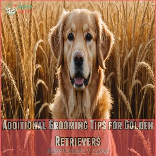 Additional Grooming Tips for Golden Retrievers