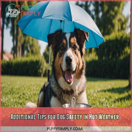 Additional Tips for Dog Safety in Hot Weather