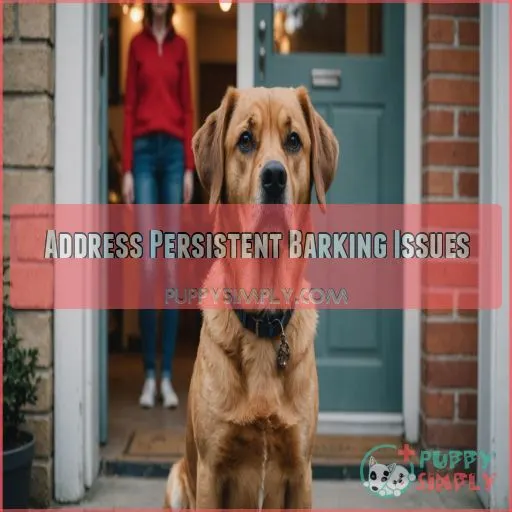 Address Persistent Barking Issues