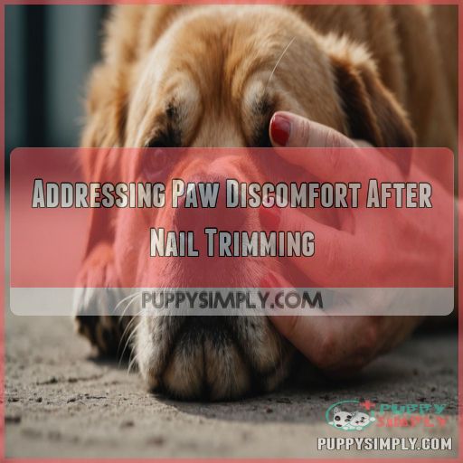 Addressing Paw Discomfort After Nail Trimming