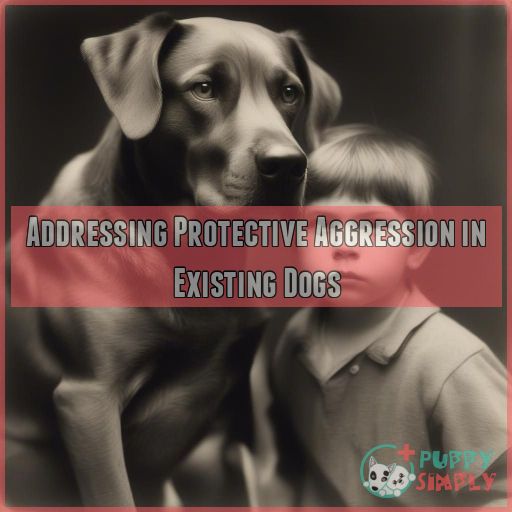 Addressing Protective Aggression in Existing Dogs