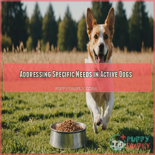 Addressing Specific Needs in Active Dogs