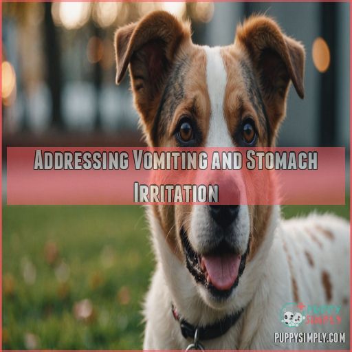 Addressing Vomiting and Stomach Irritation