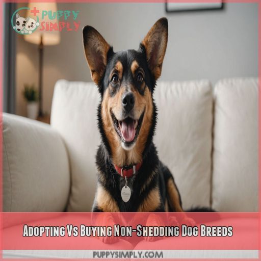 Adopting Vs Buying Non-Shedding Dog Breeds