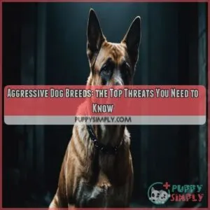 Aggressive dog breeds