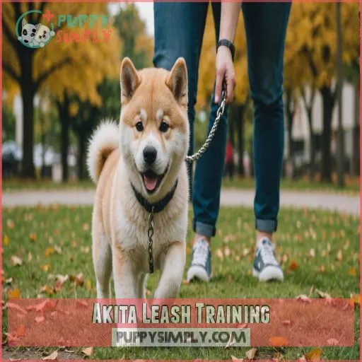 Akita Leash Training