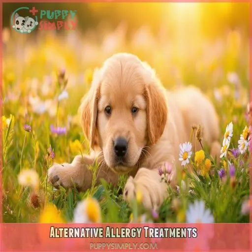 Alternative Allergy Treatments