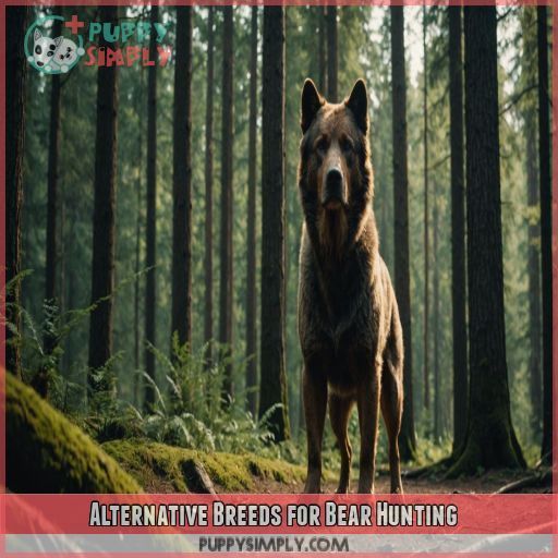 Alternative Breeds for Bear Hunting