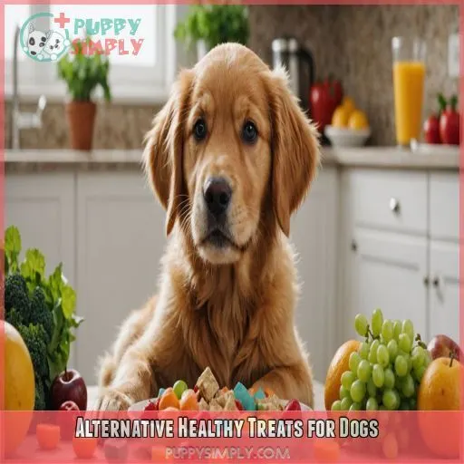 Alternative Healthy Treats for Dogs