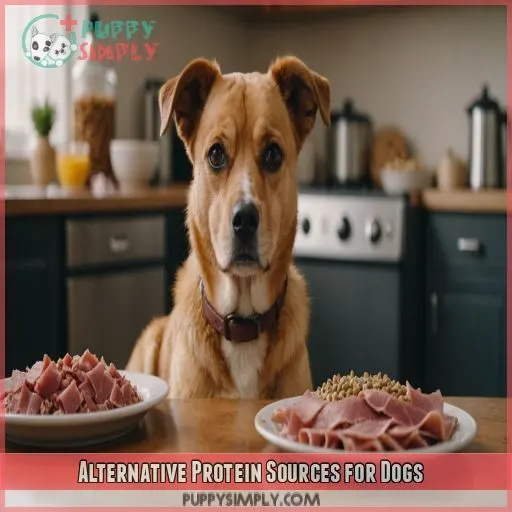 Alternative Protein Sources for Dogs