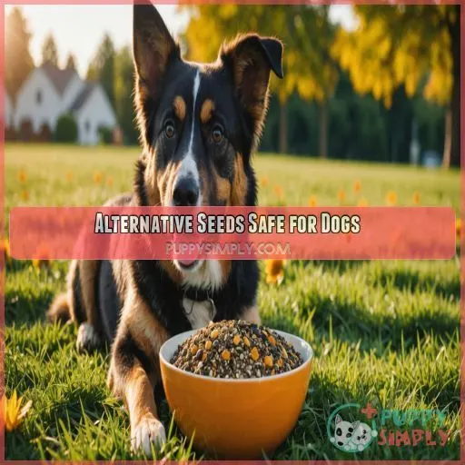 Alternative Seeds Safe for Dogs