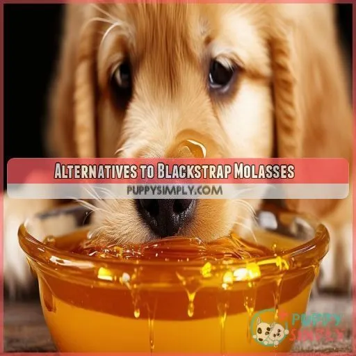 Alternatives to Blackstrap Molasses