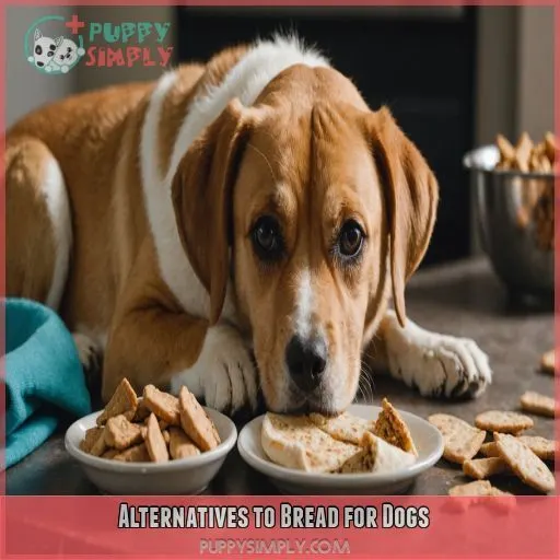 Alternatives to Bread for Dogs