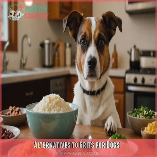 Alternatives to Grits for Dogs