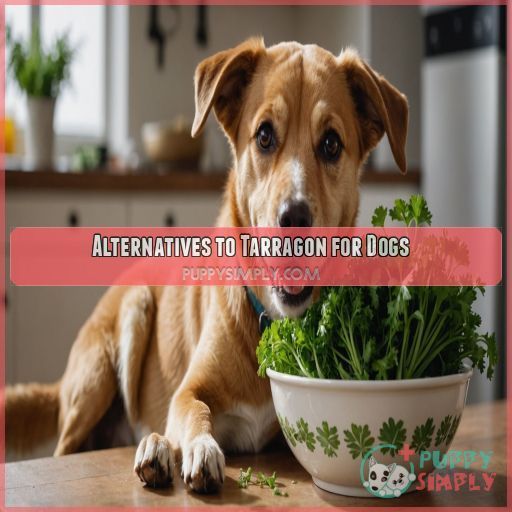 Alternatives to Tarragon for Dogs